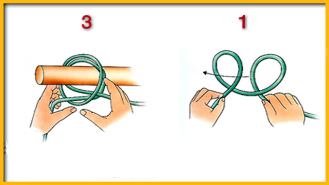 العقد الكشفية-الأشبال والزّهرات