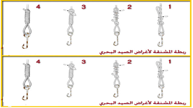 ما هي الربطة؟








