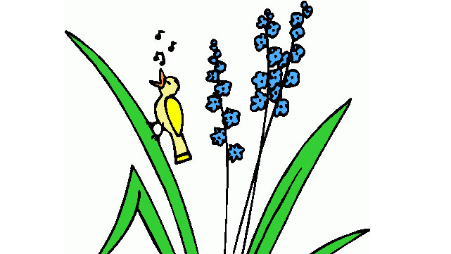 الأُذُنْ الخضراء
