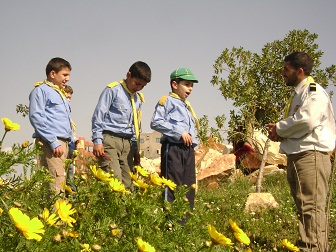 آداب العلاقة مع قائدي