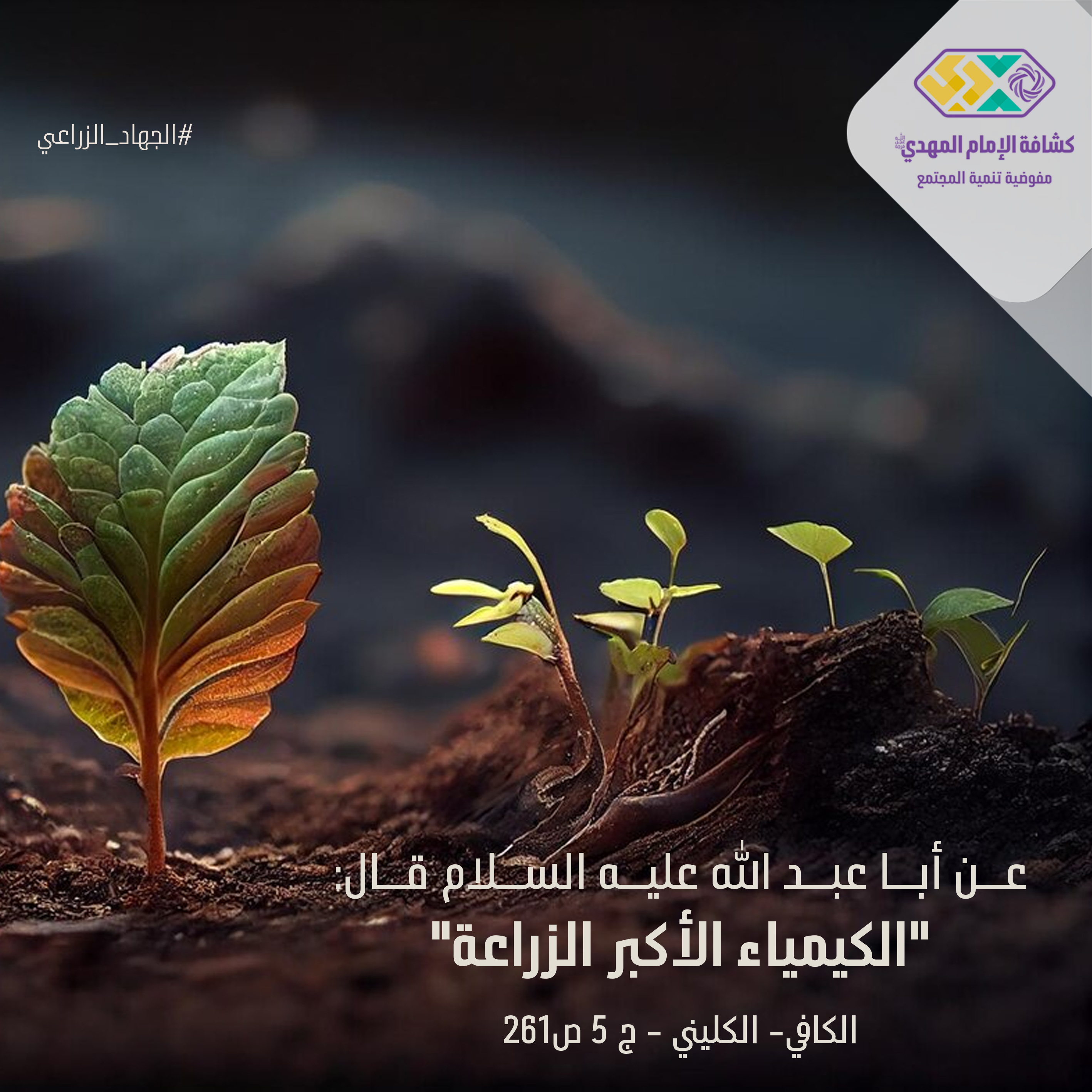 الجهاد الزراعي