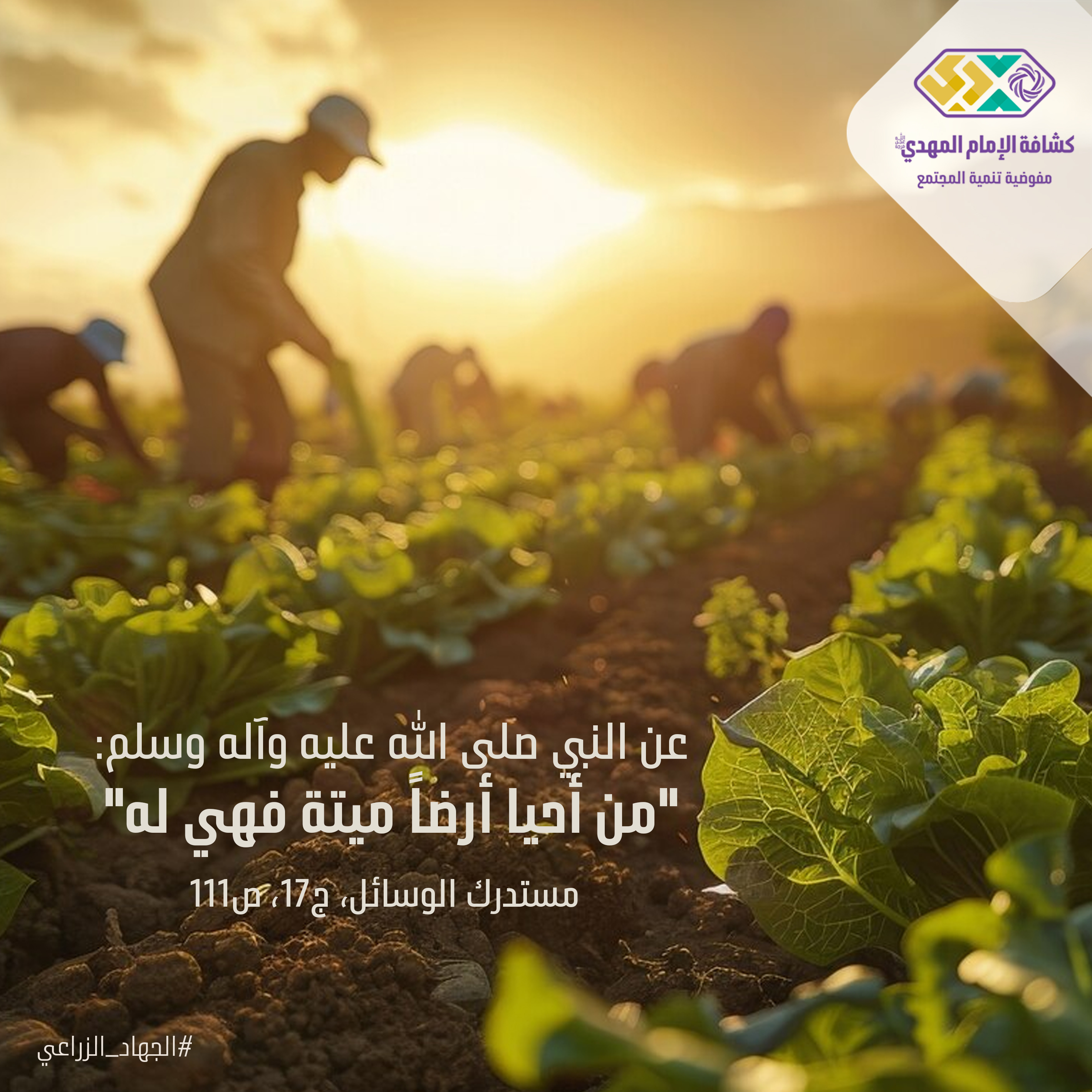 الجهاد الزراعي