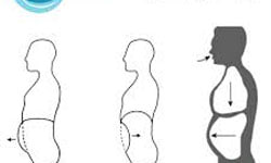 التنفس البطني