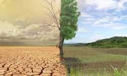 التصحر في لبنان: تحدٍ بيئي واجتماعي